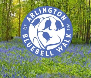 bluebell walk