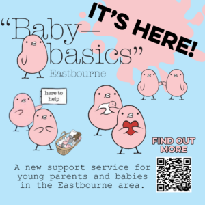 Baby Basics launch poster